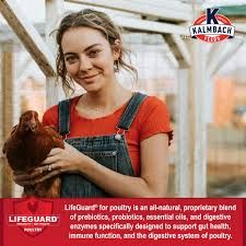 Kalmbach Chicken Layer 17% Crumble 50lb bag