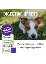 HomeoPet Digestive Upsets, 15 ml