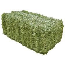 Timothy and Alfalfa Hay Bales avg 50-60lb bales