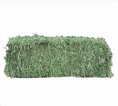 Alfalfa Hay Bale 2 string Farm Fresh Organic avg 65-75lb