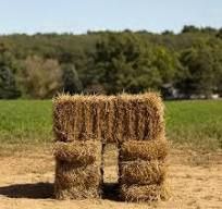 Straw Bale for Bedding Gardening Drainage