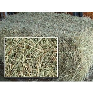 Coastal Hay Farm Fresh Bale 2 string Perfect for bedding and Gardening
