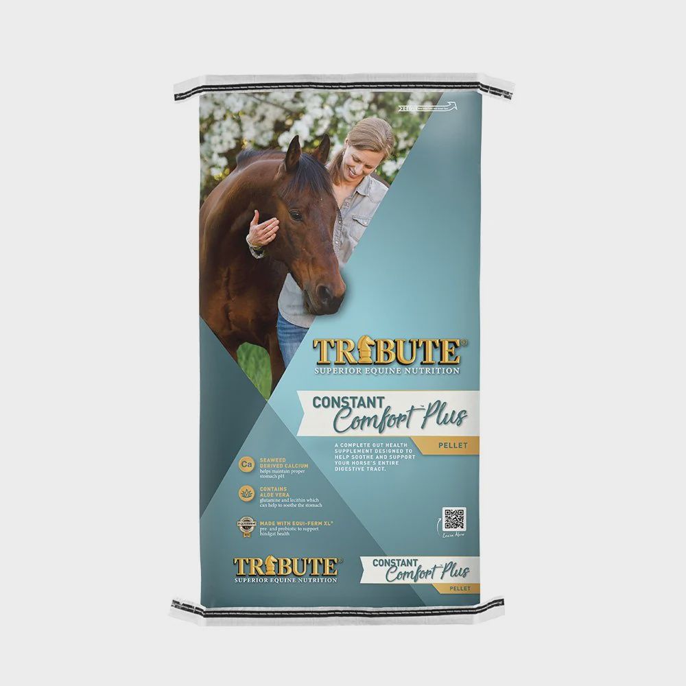 Tribute Equine Constant Comfort Gastric  Care 40lb