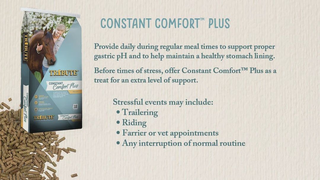 Tribute Equine Constant Comfort Gastric  Care 40lb