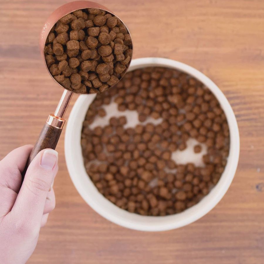 Wholesomes Sensitive Skin &amp; Stomach Cat 10 lb