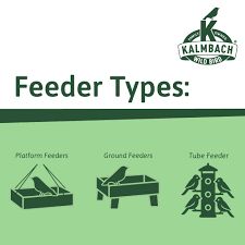 Everyday Essential Wild Bird  Multi Options