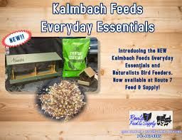 Everyday Essential Wild Bird  Multi Options