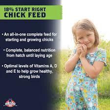 Kalmbach Feeds  Start Right Chick Feed 18% Protein 50lb
