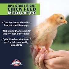 Kalmbach Feeds 18% Protein Start Right Medicated Chick Feed