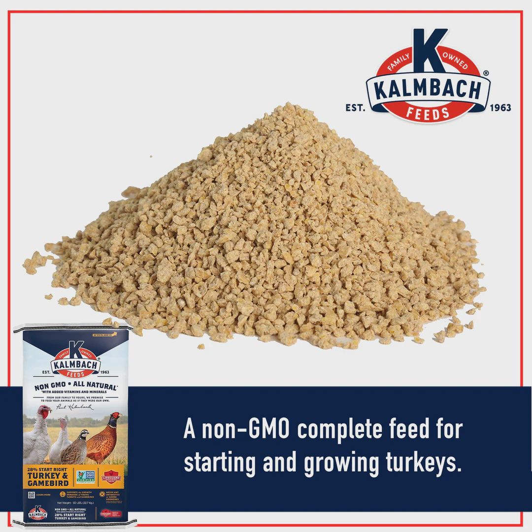 Kalmbach 28% Start Right Turkey &amp; Gamebird Non-GMO