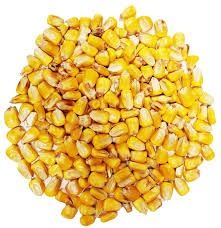 Whole Corn Clean and Food Grade  Multi Sizes, Size: 10 lb bag