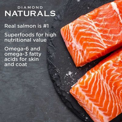 Diamond Naturals Skin &amp; Coat All Life Stages Alaskan Salmon &amp; Potato Dog Food