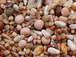 Brown's Breeder Small Corn Pidgeon Feed 50 lb