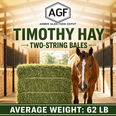 Timothy Hay 2 String Bale 63lb each straight from NW farms