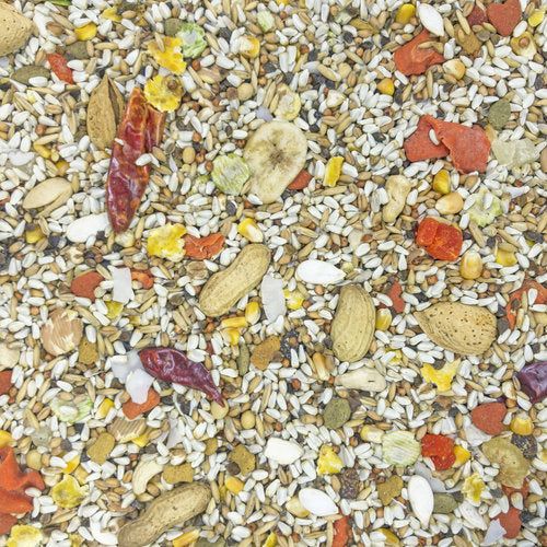 Safflower Gold Parrot Food 25-lbs