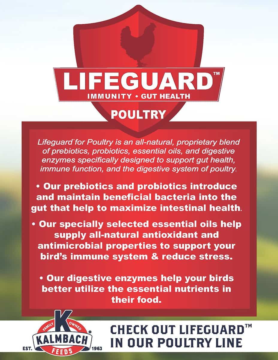 Kalmbach Feeds All Natural Soy-Free 17% Protein Layer Crumbles Poultry Feed, 50-lb bag
