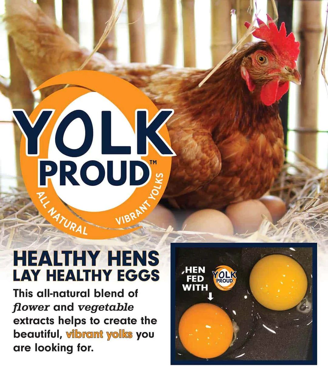 Kalmbach Feeds All Natural Soy-Free 17% Protein Layer Crumbles Poultry Feed, 50-lb bag