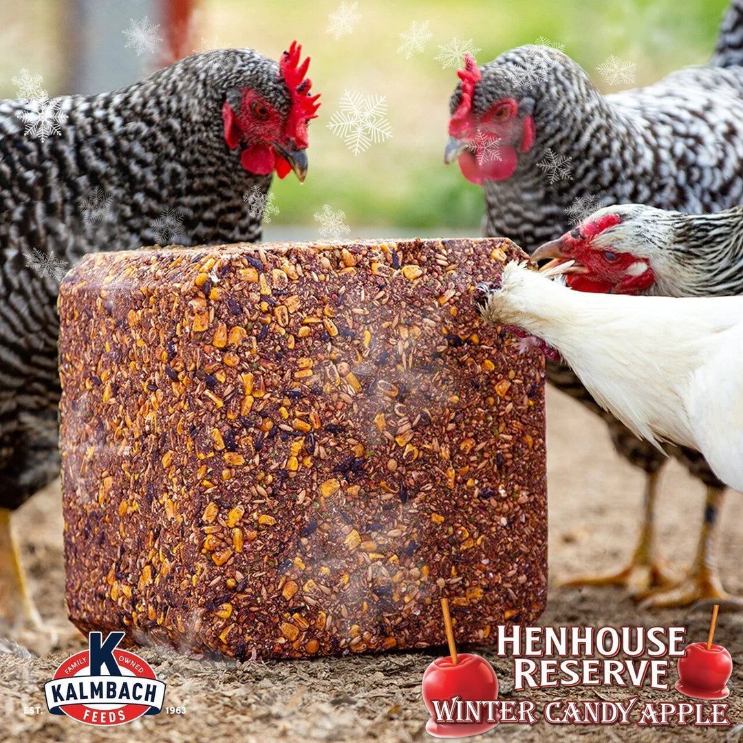 Kalmbach Feeds Henhouse Reserve Apple Flavored Treat Block for Chickens, 20-lb block