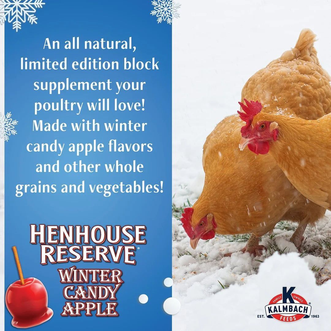 Kalmbach Feeds Henhouse Reserve Apple Flavored Treat Block for Chickens, 20-lb block