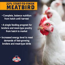 Kalmbach Feeds All Natural 22% Protein Start-To-Finish Meatbird Crumbles Chicken Feed, 50-lb bag