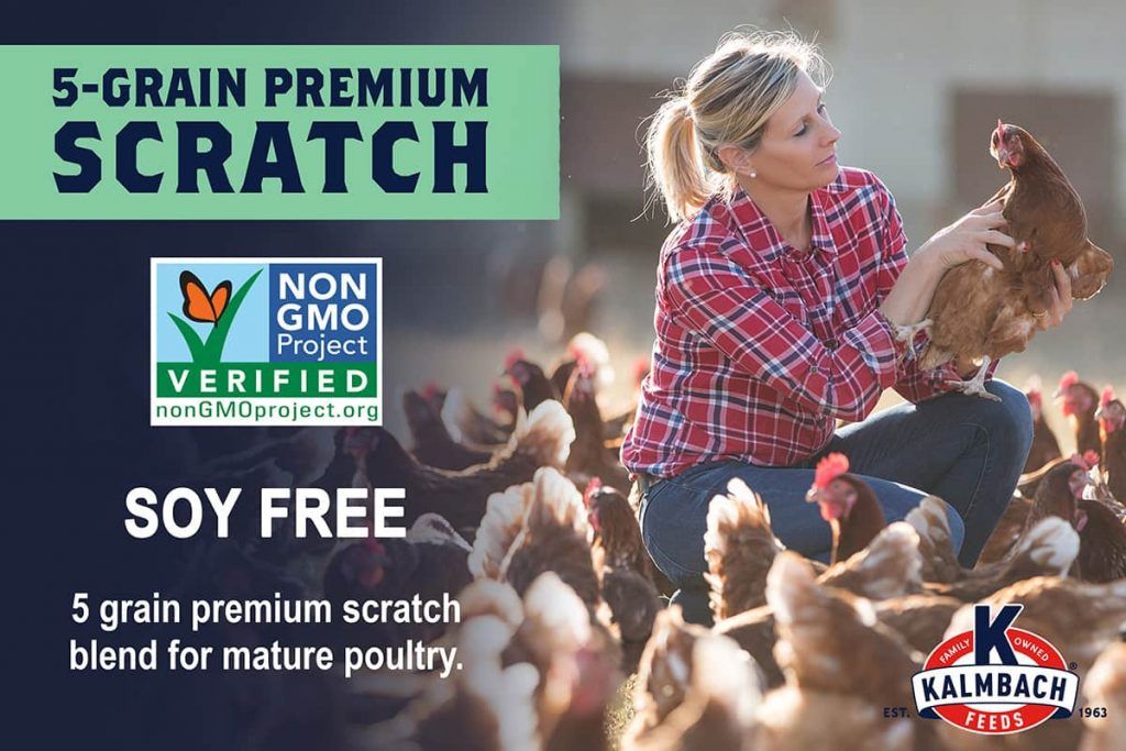 Kalmbach 5 Grain Scratch Non-Gmo Soy Free Chicken Feed 50lb