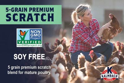 Kalmbach 5 Grain Scratch Non-Gmo Soy Free Chicken Feed 50lb
