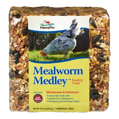 Manna Pro Mealworm Medley Poultry Treats Square Cakes