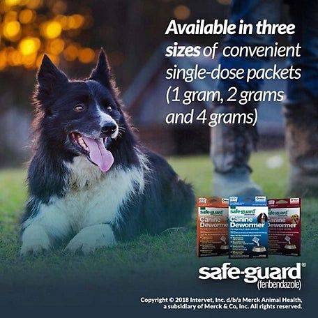 Merck Safeguard Canine Dewormer for Dogs, 20-lb, 3-pk