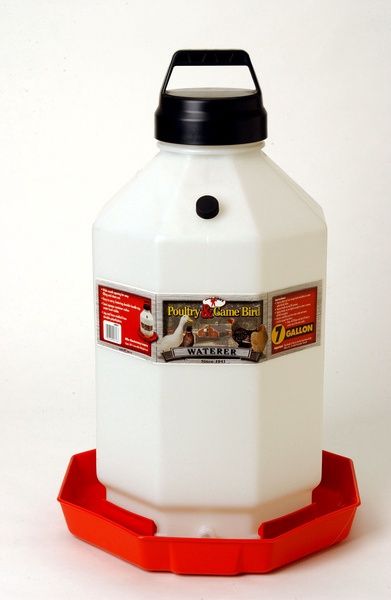 Miller Little Giant Poultry &amp; Gamebird Plastic Waterer, 7-gallon
