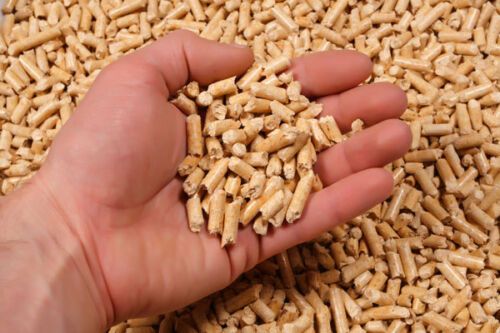 Suncoast Pine Pellets 40lb bag Bedding, Chicken Bedding, Horse Bedding, 100% BioSecure
