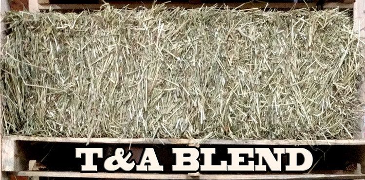 T&amp;A Timothy and Alfalfa Hay Bales for Livestock and Small Animal feed