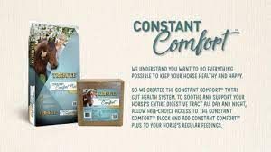 Tribute Equine Nutrition Constant Comfort Gastric Health Horse Supplement, 15-lbs block