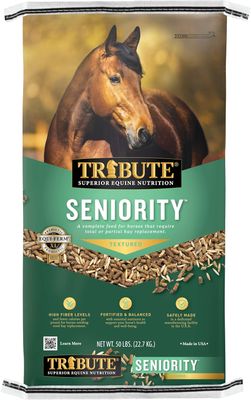Tribute Seniority Textured
