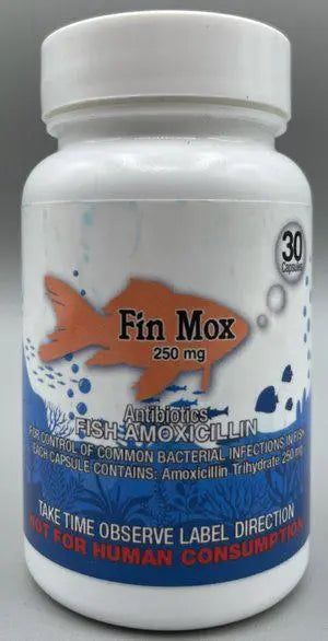Fin Mox 250 mg, Size: 30 Count