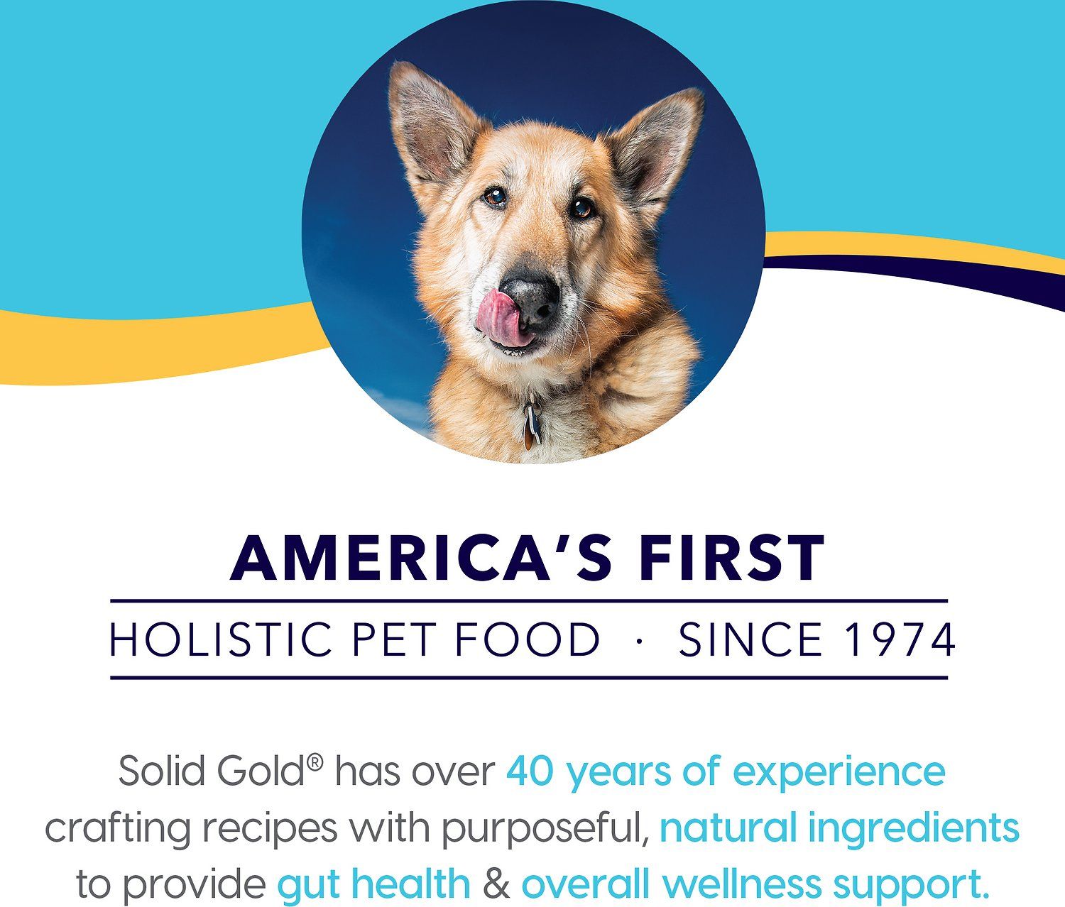 Solid Gold Holistique Blendz Oatmeal Barley &amp; Ocean Fish Complete Health Dog Food