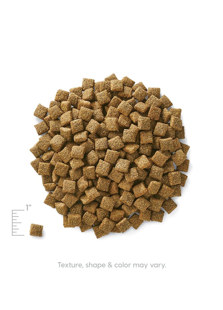 Solid Gold Fit &amp; Fabulous Low Fat/Low Calorie with Fresh Caught Alaskan Pollock Adult Dry Dog Food