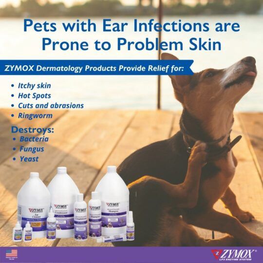 Zymox Advanced Enzymatic Conditioner for Dogs &amp; Cats, 12-oz