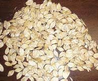Kalmbach Steamed Rolled Barley 50 lb