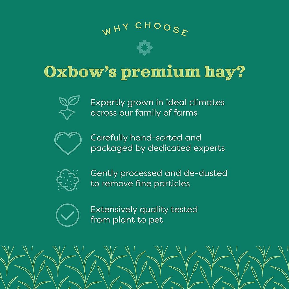 Western Oxbow Timothy Hay Various Sizes REWARDS PROGRAM BUY 6 GET 1 FREE