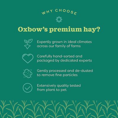 Western Oxbow Timothy Hay Various Sizes REWARDS PROGRAM BUY 6 GET 1 FREE