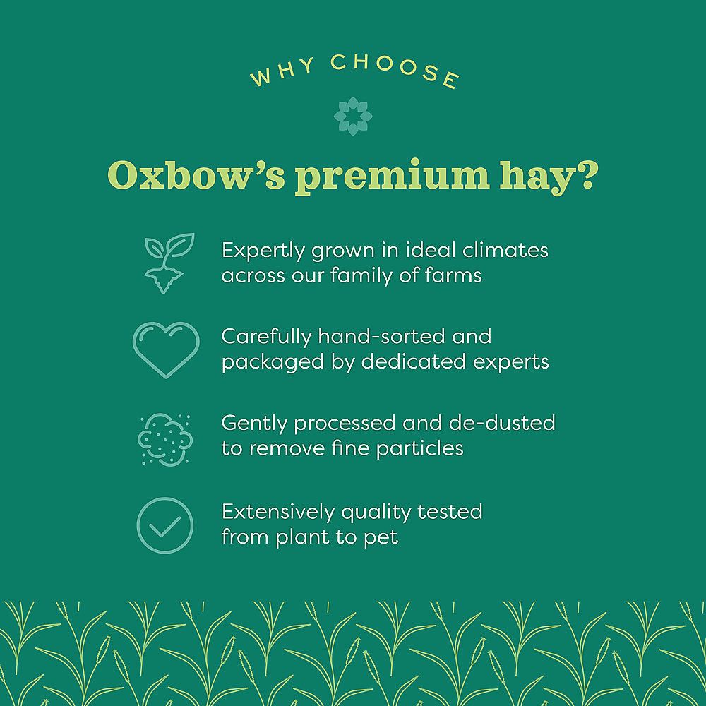 Western Oxbow Timothy Hay Various Sizes REWARDS PROGRAM BUY 6 GET 1 FREE