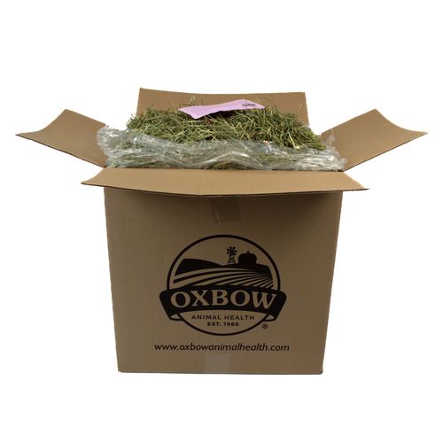 Western Oxbow Timothy Hay Various Sizes REWARDS PROGRAM BUY 6 GET 1 FREE