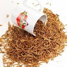 Happy Hen Treats Mealworm Frenzy, Size: 3.5 oz