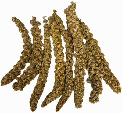 Spray Millet various options