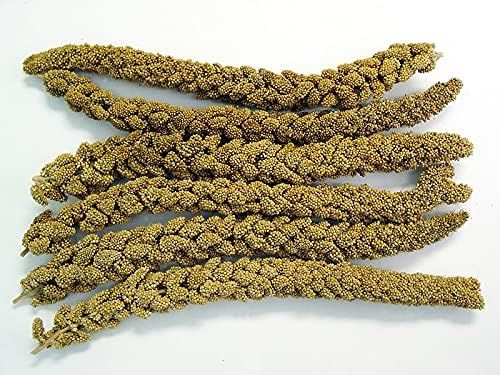 Spray Millet various options
