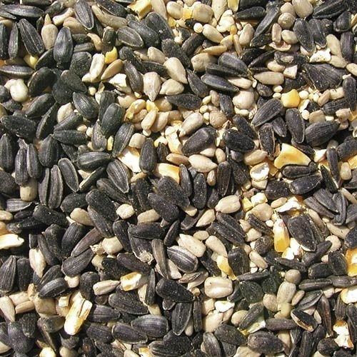 Cole's Blue Ribbon Blend, Size: 5 lb bag