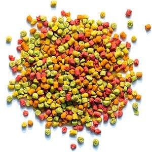 ZuPreem FruitBlend with Natural Fruit Flavors Small Bird Food