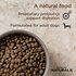 Diamond Naturals Lamb Meal &amp; Rice Formula Adult Dry Dog Food Multi Sizes