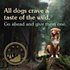 Taste of the Wild High Prairie Roasted Bison &amp; Venison Dog Grain Free Dog Food