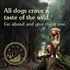 Taste of the Wild High Prairie Roasted Bison &amp; Venison Dog Grain Free Dog Food